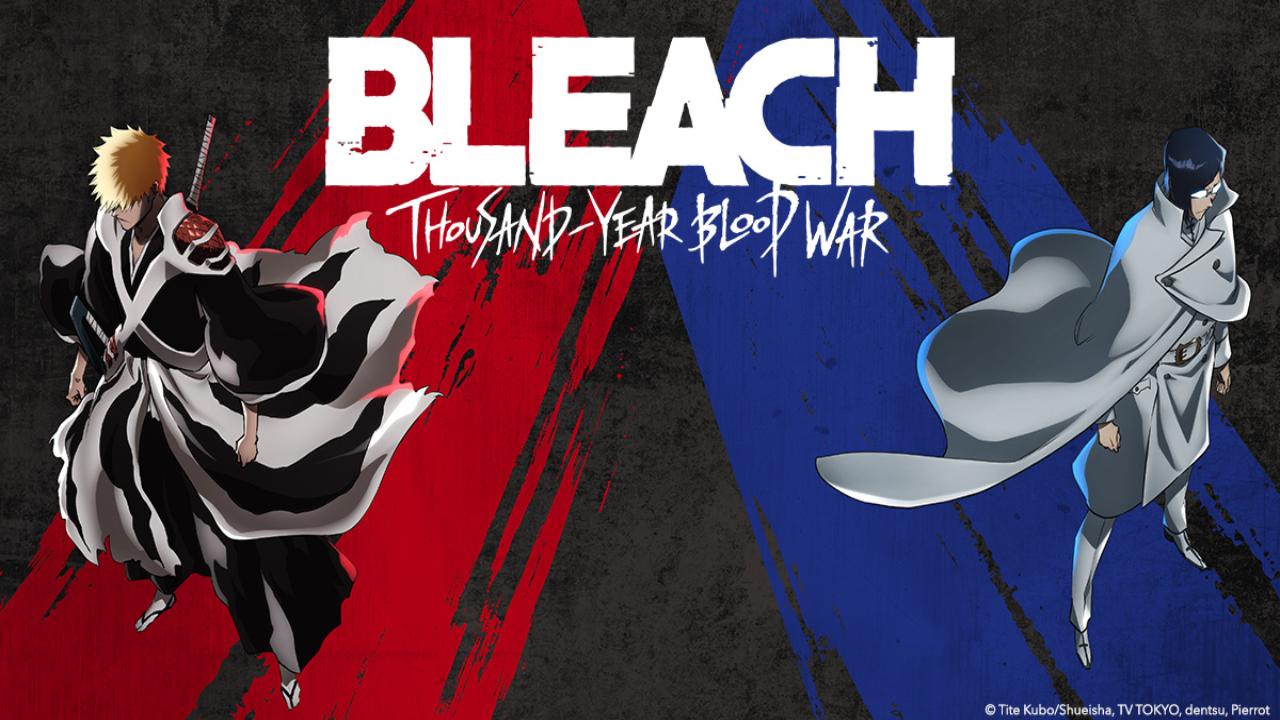 انمي Bleach الموسم الثاني الحلقة 13 الثالثة عشر مترجمة والاخيرة HD